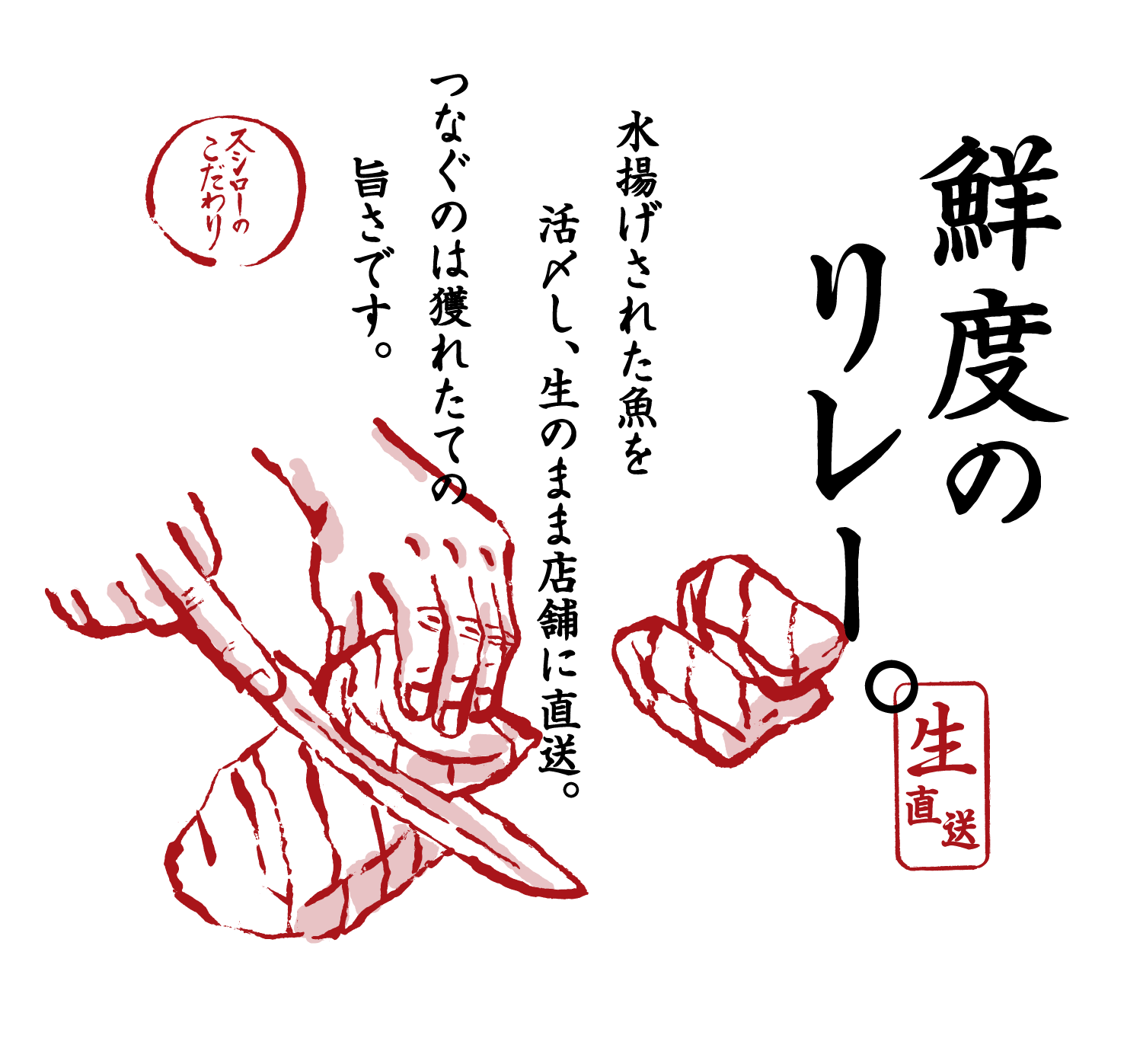 鮮度のリレー。生直送 水揚げされた魚を活〆し、生のまま店舗に直送。つなぐのは獲れたての旨さです。 スシローのこだわり