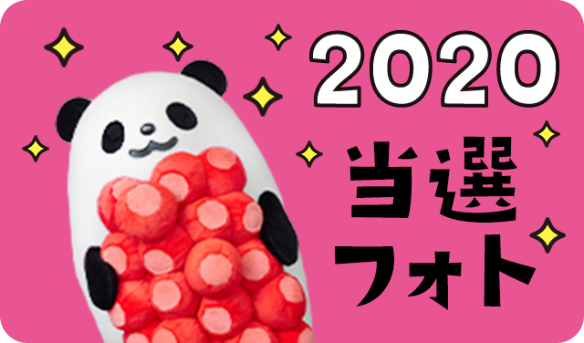 2020 当選フォト