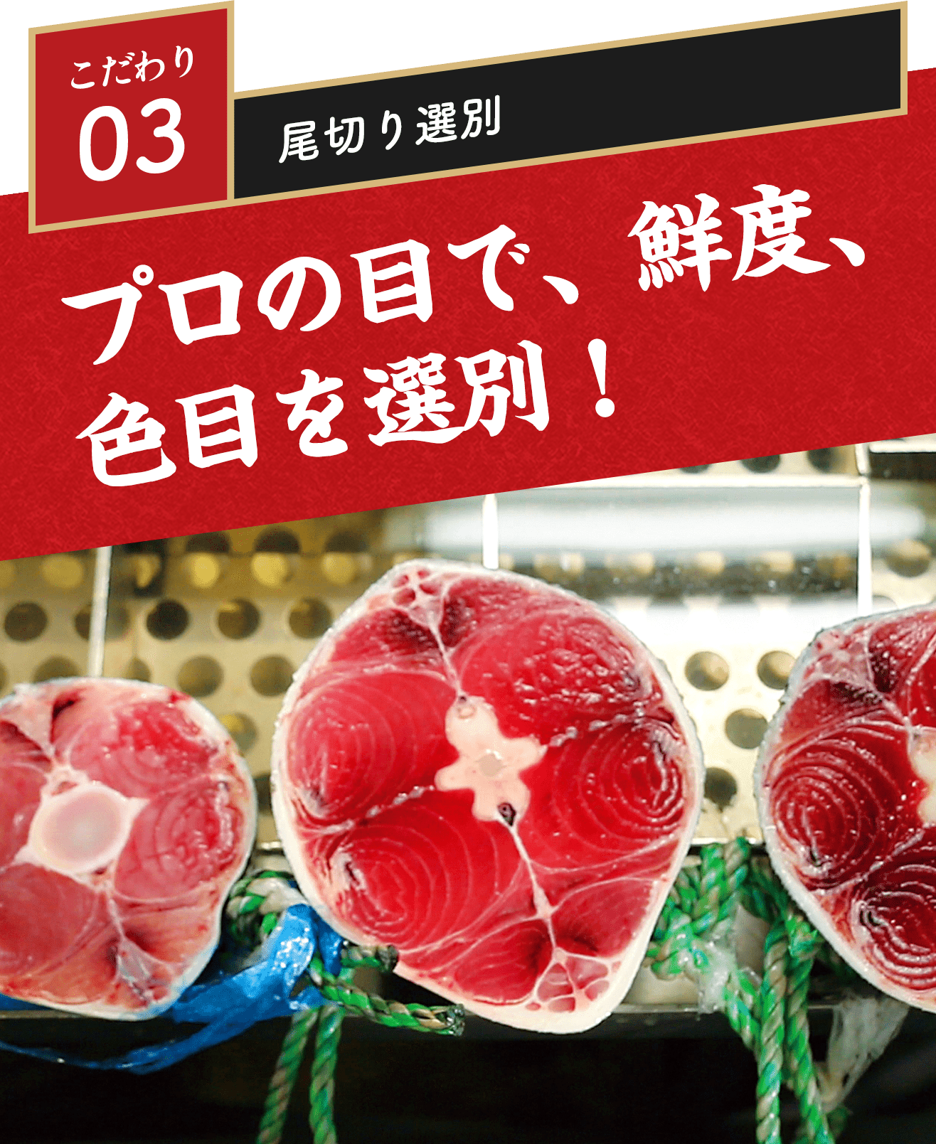 こだわり03　尾切り選別 プロの目で、鮮度、色目を選別！